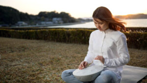 Roland MN-10 Mood Pan